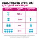 Пульмикорт 0,5 мг/мл суспензия для ингаляций 2 мл 20 шт