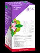 Anti-Age Антиоксидантная Формула капсулы 60 шт