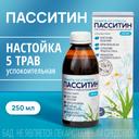 Пасситин настойка для приема внутрь 250 мл
