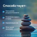Пасситин настойка для приема внутрь 250 мл