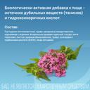 Пасситин настойка для приема внутрь 250 мл