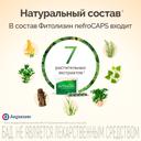 Фитолизин NefroCAPS капсулы 30 шт