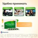 Фитолизин NefroCAPS капсулы 30 шт