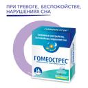 Гомеострес таблетки гомеопатические 90 шт