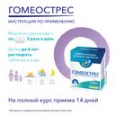 Гомеострес таблетки гомеопатические 90 шт