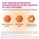 Троксактив 1000 мг таблетки 60 шт