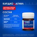 Кардиомагнил 150 мг+30,39 мг таблетки 30 шт