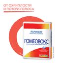Гомеовокс таблетки гомеопатические 60 шт