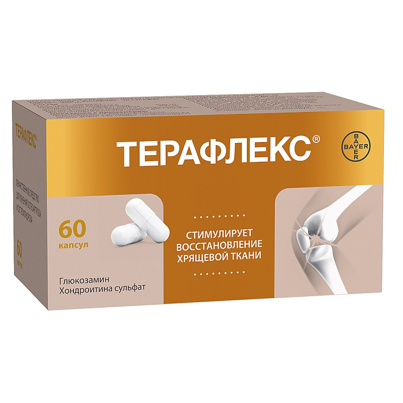 Терафлекс капсулы 60 шт