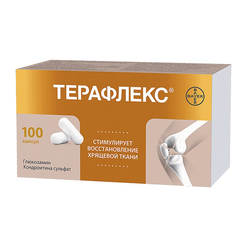 Терафлекс капсулы 100 шт