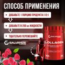 Galvanize Коллаген порошок Малиновый сок 300 г