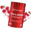 Galvanize Коллаген порошок Малиновый сок 300 г