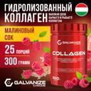 Galvanize Коллаген порошок Малиновый сок 300 г