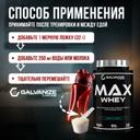 Galvanize Макс Сывороточный протеин порошок Ваниль 900 г