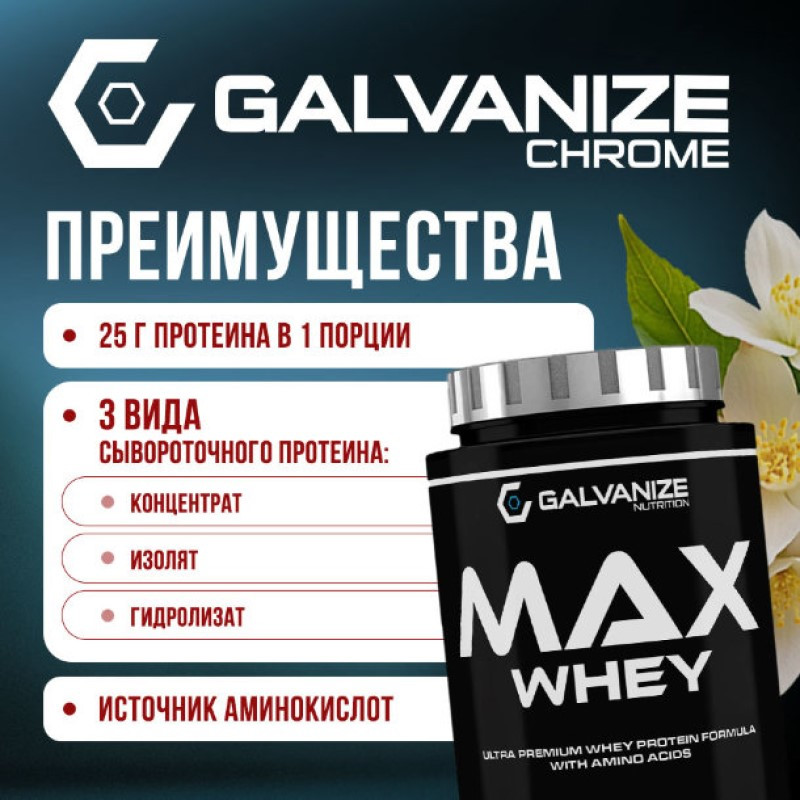 Galvanize Макс Сывороточный протеин порошок Ваниль 900 г