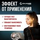 Galvanize Макс Сывороточный протеин порошок Ваниль 900 г