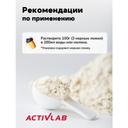ActivLab Белково-углеводная смесь Клубника 1200 г