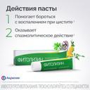 Фитолизин паста для приготовления суспензии 100 г