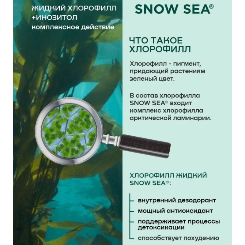 Сноу Си Инозитол+Хлорофилл жидкий флакон 450 мл Апельсин+Мята