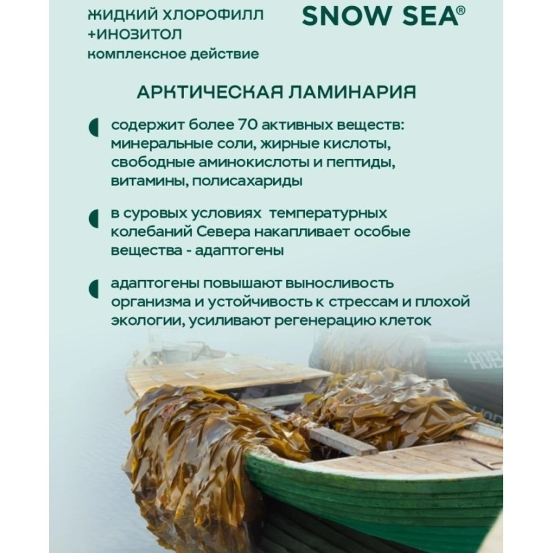 Сноу Си Инозитол+Хлорофилл жидкий флакон 450 мл Апельсин+Мята