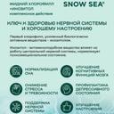 Сноу Си Инозитол+Хлорофилл жидкий флакон 450 мл Апельсин+Мята