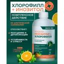 Сноу Си Инозитол+Хлорофилл жидкий флакон 450 мл Апельсин+Мята