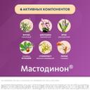 Мастодинон капли гомеопатические для приема внутрь 50 мл