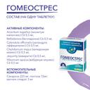 Гомеострес таблетки гомеопатические 40 шт