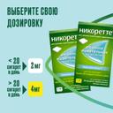 Никоретте 2 мг резинка жевательная лекарственная Морозная мята 30 шт