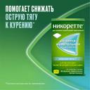 Никоретте 4 мг резинка жевательная лекарственная Морозная мята 30 шт